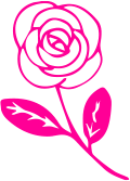 rose de mai