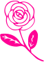 rose de mai